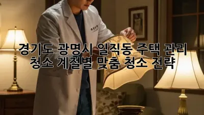 경기도 광명시 일직동 주택 관리 청소: 계절별 맞춤 청소 전략