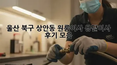 울산 북구 상안동 원룸이사? 용달이사 후기 모음!