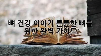 뼈 건강 이야기: 튼튼한 뼈를 위한 완벽 가이드